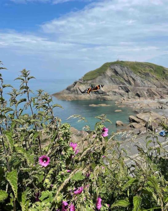 Paramount Apartments Ilfracombe, Arty Seaside Holiday Apartments エクステリア 写真